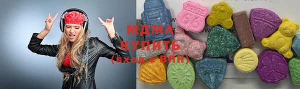 гашик Ельня