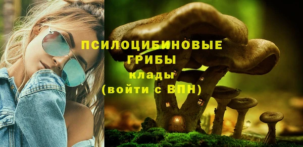 mix Абаза