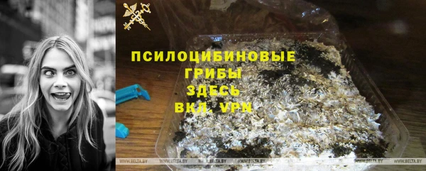 крисы Елизово