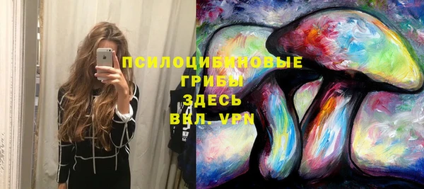 тгк Абинск