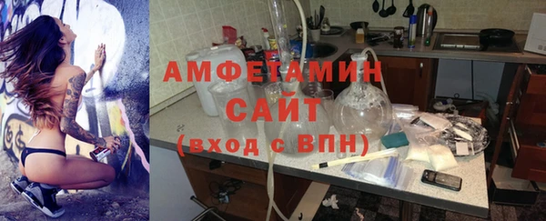 прущие грибы Алзамай