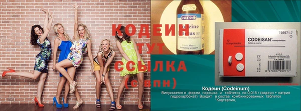 крисы Краснослободск