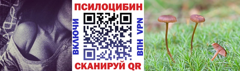 цены   darknet наркотические препараты  Псилоцибиновые грибы Magic Shrooms  Кизилюрт 