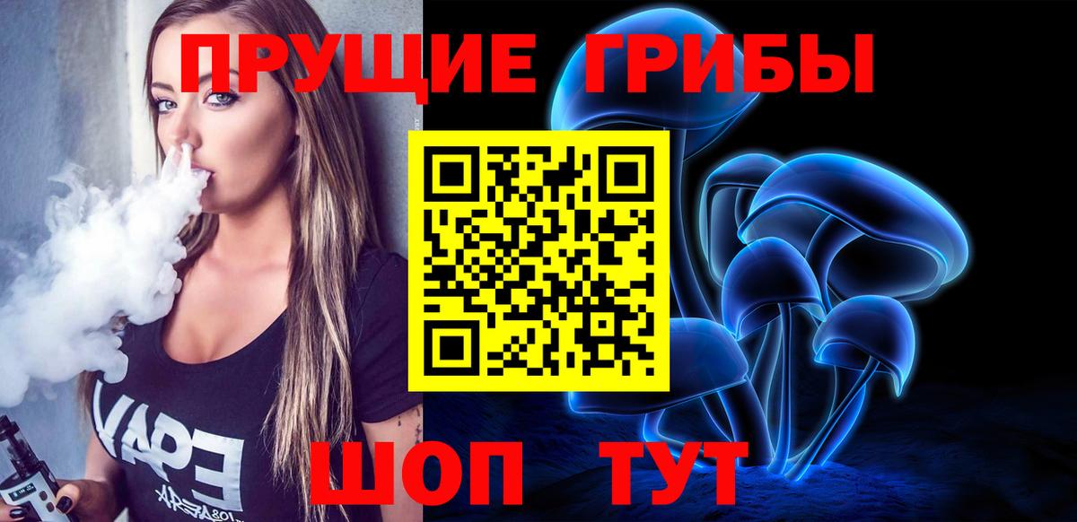 купить наркотики цена  Галлюциногенные грибы Psilocybe  Псилоцибиновые грибы ЛСД  Вход с VPN  Кизилюрт 